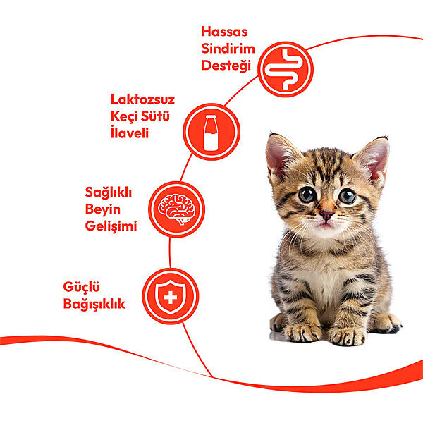 Wanpy Somon Balıklı Krema Yavru Kedi Ödülü 14gr (5'li) - 2
