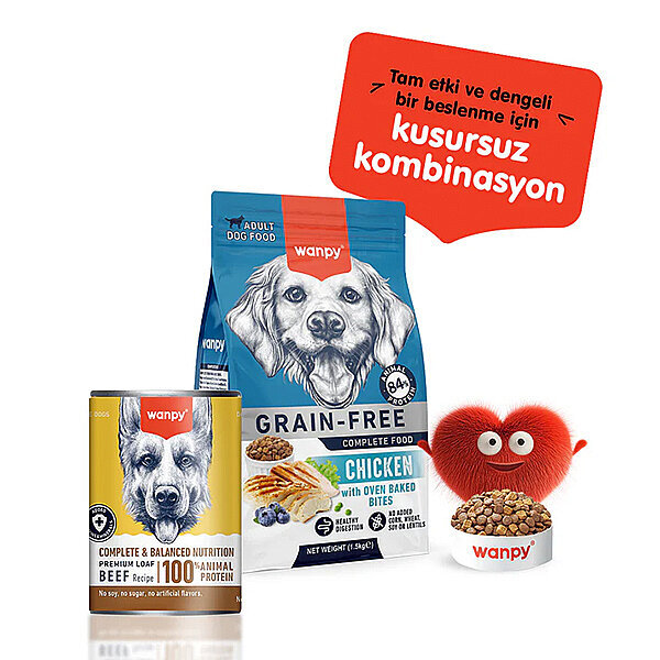 Wanpy Tahılsız  %100 Gerçek Et Biftekli Köpek Konservesi 375 gr - 4