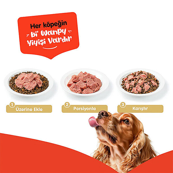 Wanpy Tahılsız  %100 Gerçek Et Biftekli Köpek Konservesi 375 gr - 3