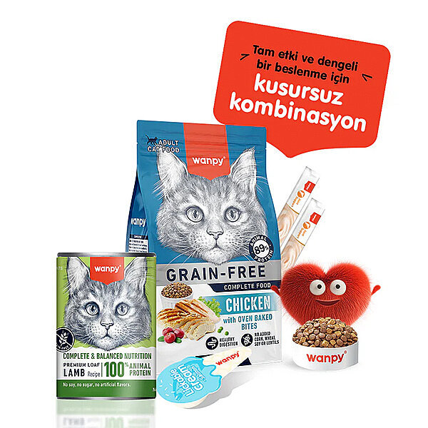 Wanpy Tahılsız  %100 Gerçek Et Kuzu Etli Kedi Konservesi 375 gr - 4