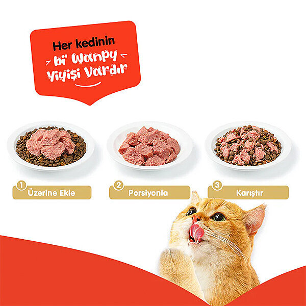Wanpy Tahılsız  %100 Gerçek Et Kuzu Etli Kedi Konservesi 375 gr - 3