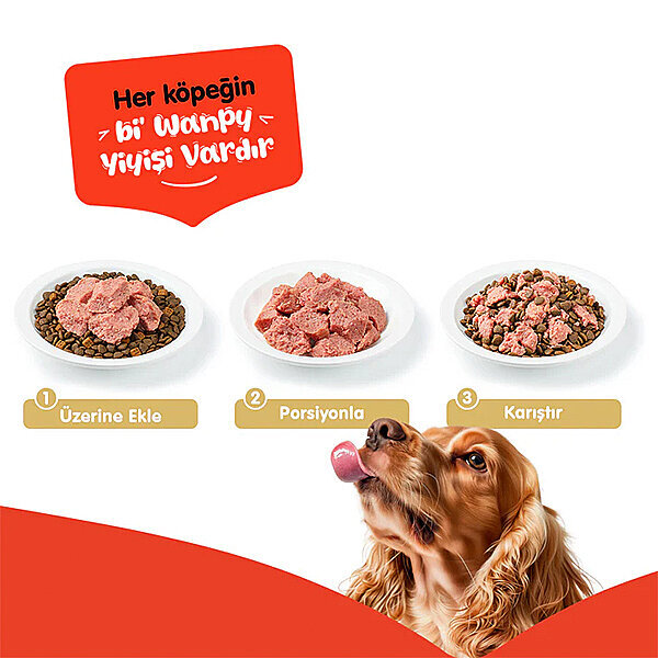 Wanpy Tahılsız  %100 Gerçek Et Tavuklu Köpek Konservesi 375 gr - 3