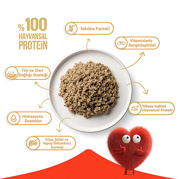 Wanpy Tahılsız  %100 Gerçek Et Ton Balıklı Kedi Konservesi 375 gr - 2