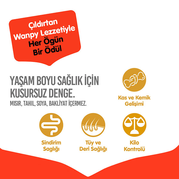 Wanpy Tahılsız Sığır Etli Yetişkin Köpek Maması 1,5 kg - 4