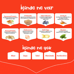 Wanpy Tavuklu Tahılsız Yetişkin Kuru Köpek Maması 1,5 kg - 5