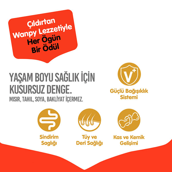 Wanpy Tavuklu Tahılsız Yetişkin Kuru Köpek Maması 1,5 kg - 4