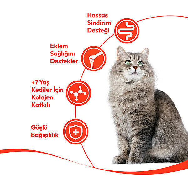 Wanpy Ton Balıklı 7+ Yaşlı Kediler İçin Krema Kedi Ödülü 14gr (5'li) - 2