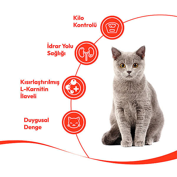 Wanpy Ton Balıklı ve Kızılcıklı Krema Kedi Ödülü 14gr (5'li) - 2