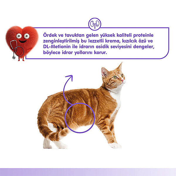 Wanpy Urinary Care Ördekli ve Tavuklu Üriner Sistem Desteği Krema Kedi Ödül Maması 14gr (5'li) - 5