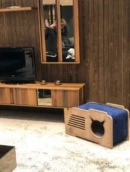 Woofy Catsy 1-A Kedi Evi - 4