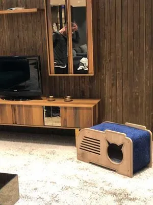 Woofy Catsy 1-A Kedi Evi - 4