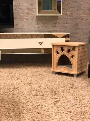 Woofy Catsy 13-A Kedi Evi - 5