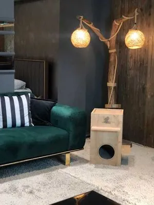 Woofy Catsy 15-A Kedi Evi - 4