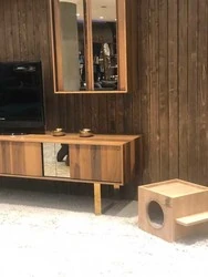 Woofy Catsy 16-A Kedi Evi - 2