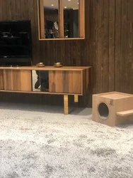 Woofy Catsy 16-A Kedi Evi - 3