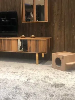 Woofy Catsy 16-A Kedi Evi - 3