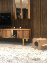 Woofy Catsy 16-A Kedi Evi - 4