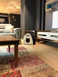 Woofy Catsy 3-A Kedi Evi - 3