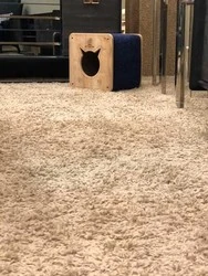 Woofy Catsy 4-A Kedi Evi - 4