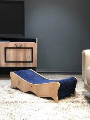 Woofy Catsy 5-A Kedi Evi - 4