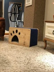 Woofy Catsy 7-A Kedi Evi - 3