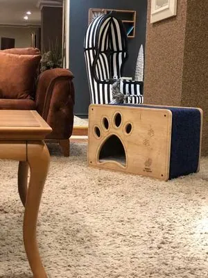 Woofy Catsy 7-A Kedi Evi - 4