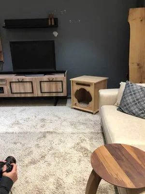 Woofy Woof 3-A Köpek Evi - 2