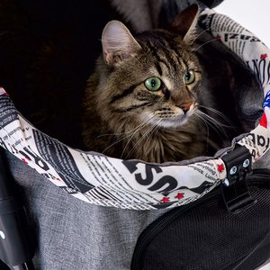 Zampa Showtime Kedi & Köpek Arabası Gri, 42x69.5x88cm - 6