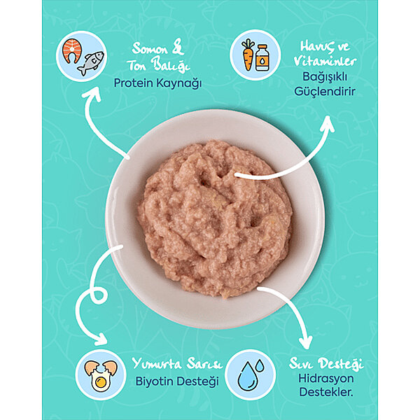 Zampa Somonlu ve Ton Balıklı Puding Kedi Ödül Maması 80 g - 2