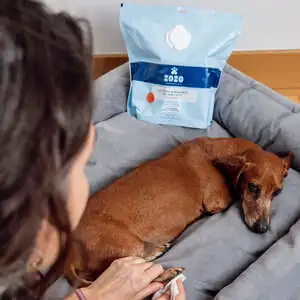 Zozo Hijyenik Pati Temizleme Mendili - 250 Adet - 7