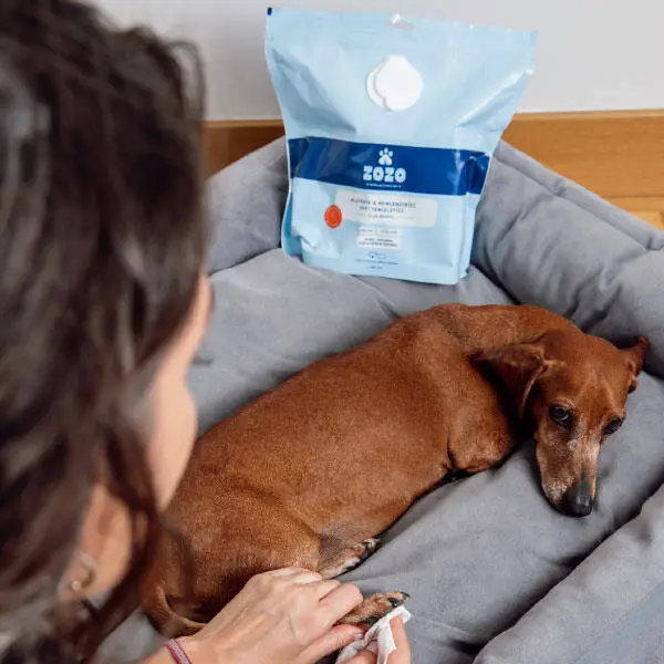 Zozo Hijyenik Pati Temizleme Mendili - 250 Adet - 7