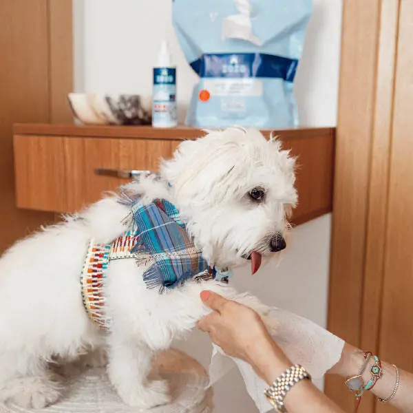 Zozo Hijyenik Pati Temizleme Mendili - 250 Adet - 9