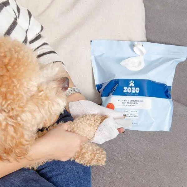 Zozo Hijyenik Pati Temizleme Mendili - 250 Adet - 10